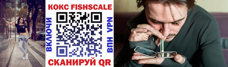 Cocaine FishScale  Купить закладки  Владимир 
