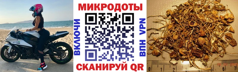 Купить закладки Владимир Галлюциногенные грибы Psilocybine cubensis